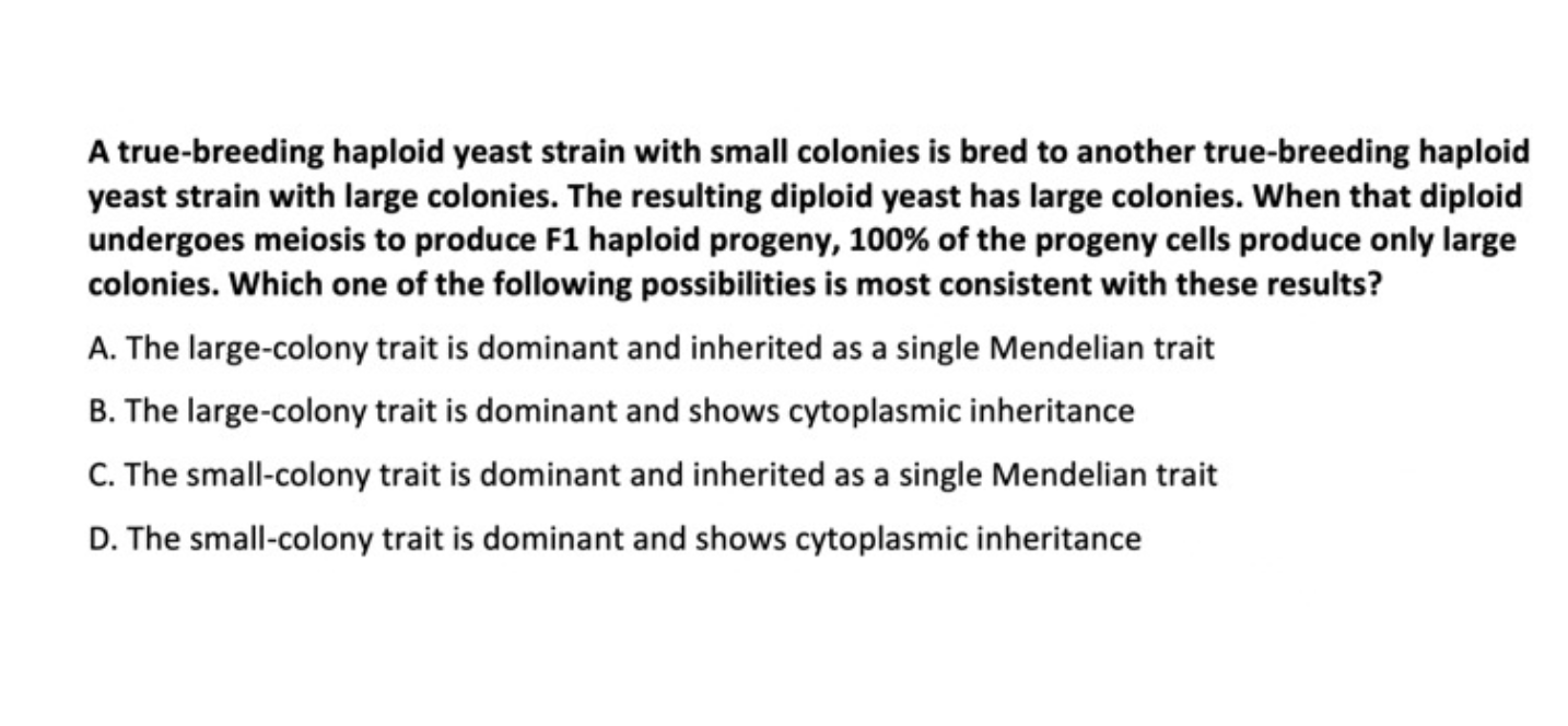 Solved A True-breeding Haploid Yeast Strain With Small | Chegg.com