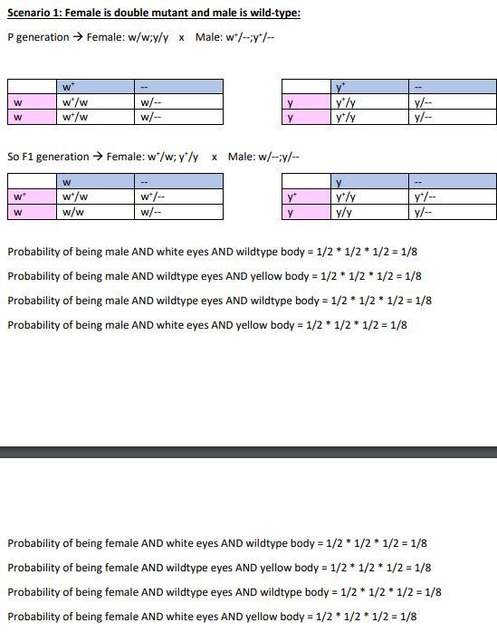Solved Scenario 1: Female is double mutant and male is | Chegg.com