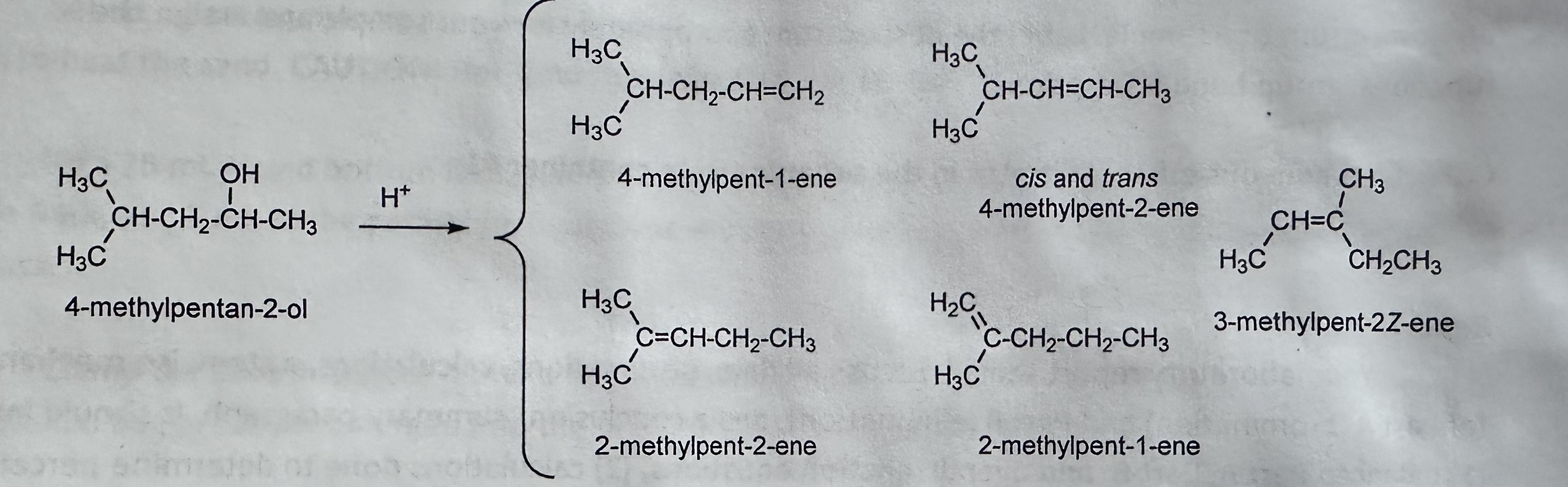 solved-please-provide-the-mechanism-that-describes-how-the-chegg