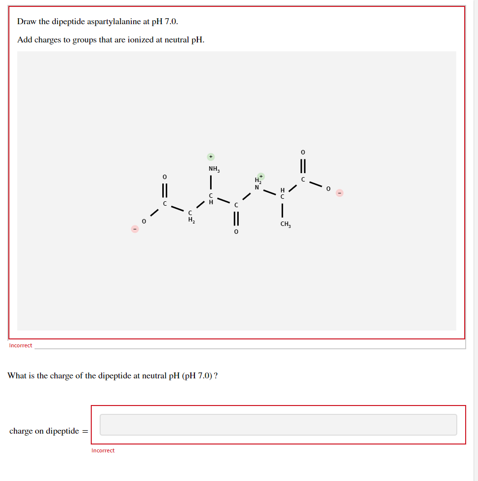 Solved Draw the dipeptide aspartylalanine at pH 7.0. Add