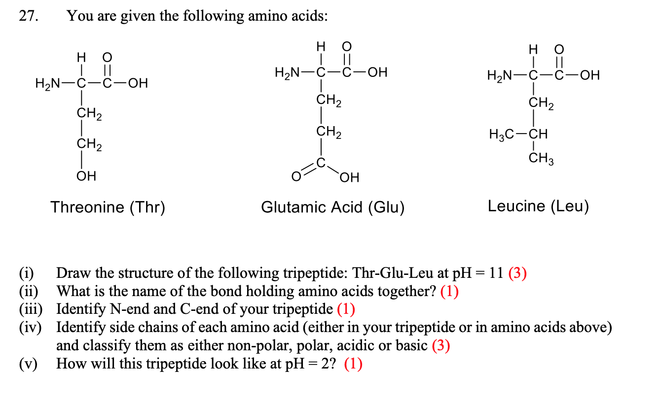 Solved 27. You are given the following amino acids H O Н. O