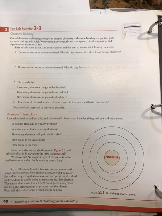 Solved PreLab Exercise 23 Chemical Bonding One of the more