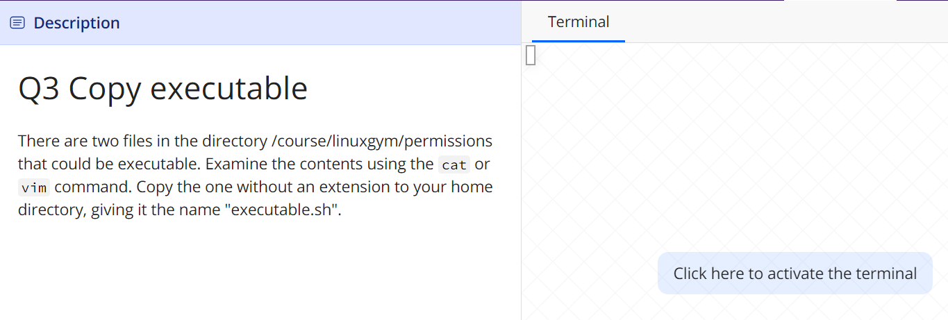 Solved O Description Terminal Q3 Copy executable There are | Chegg.com