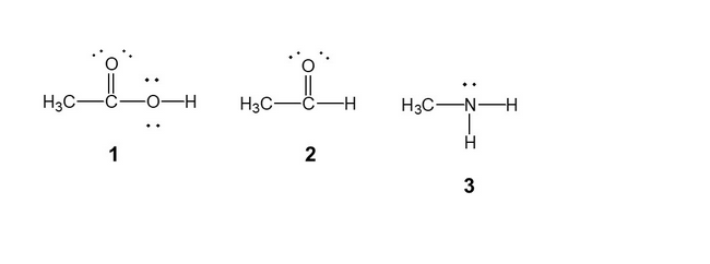 Solved Rank the following structures below from the lowest | Chegg.com