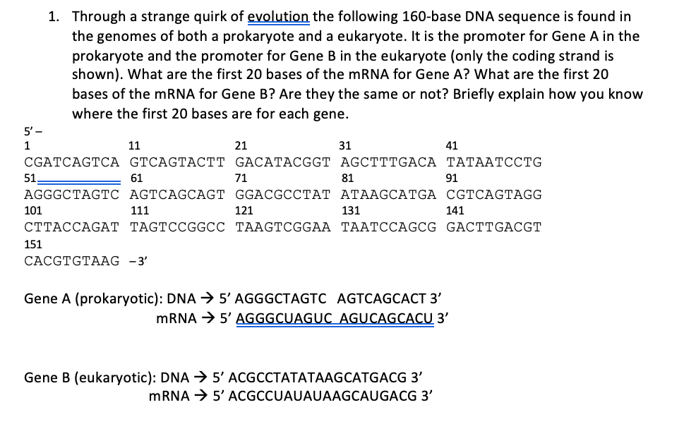 Solved 1. Through a strange quirk of evolution the following | Chegg.com