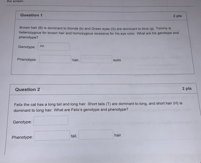 Green Eye Color Punnett Square - Eye Color Photos