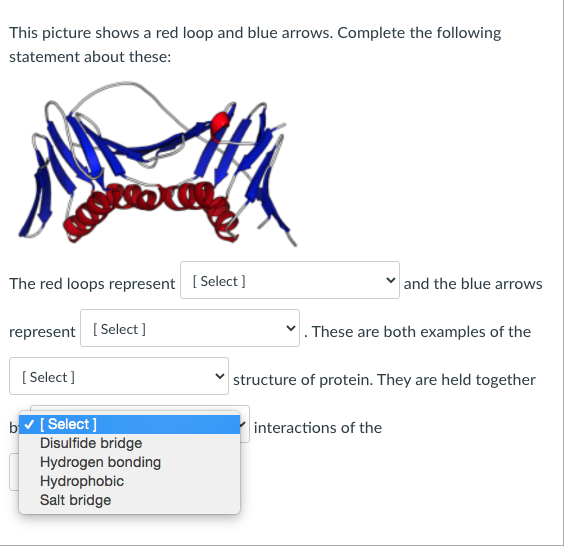 Solved This picture shows a red loop and blue arrows. | Chegg.com
