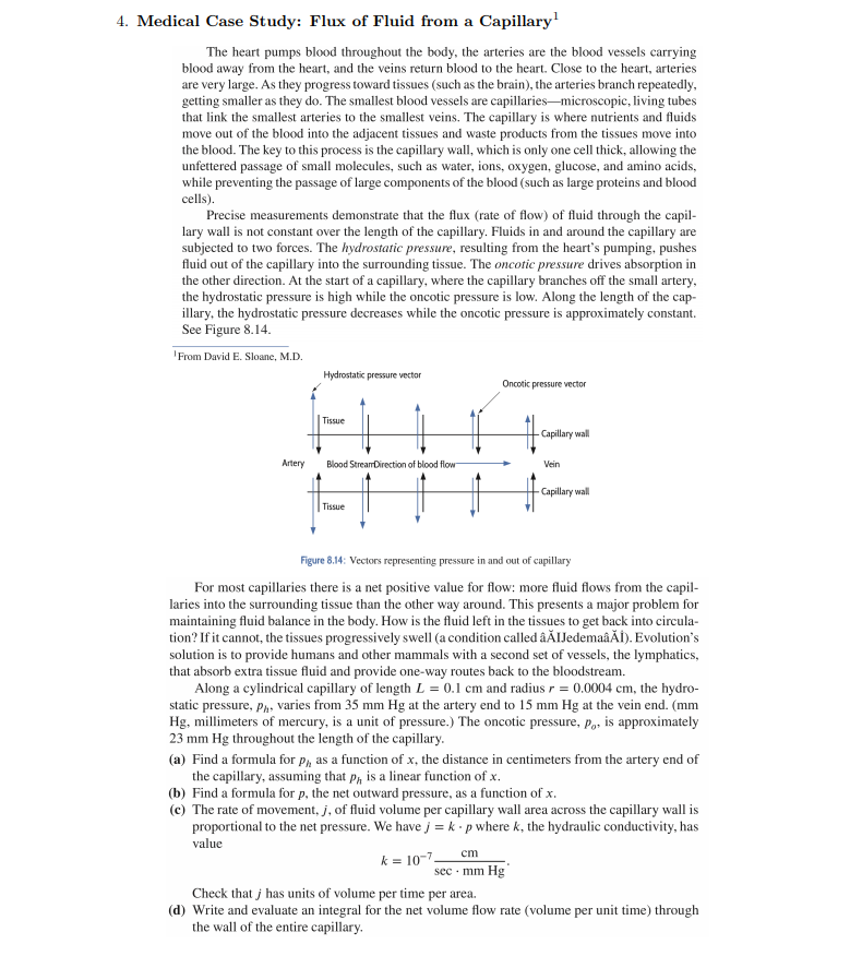 Dogs ear infection image