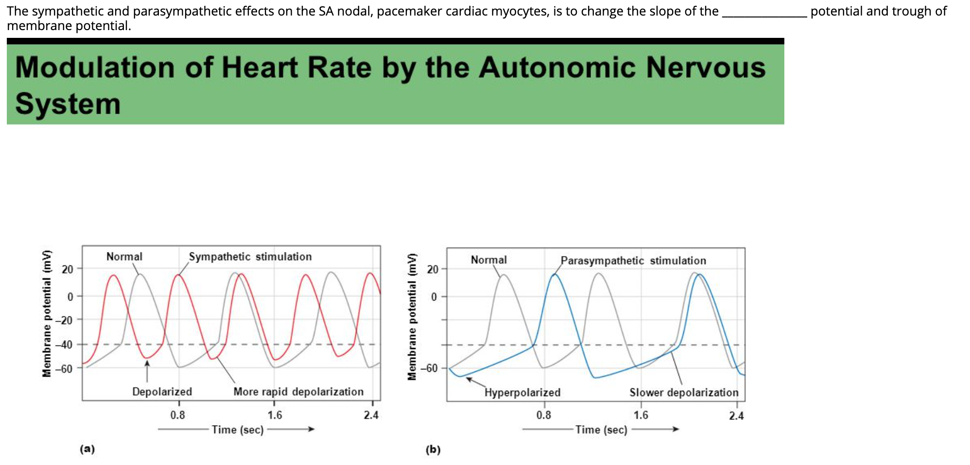The sympathetic and parasympathetic effects on the SA nodal, pacemaker cardiac myocytes, is to change the slope of the membra