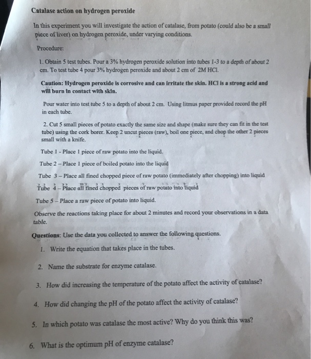 Liver experiment with hydrogen peroxide. Chicken Liver Enzyme Lab. 2022