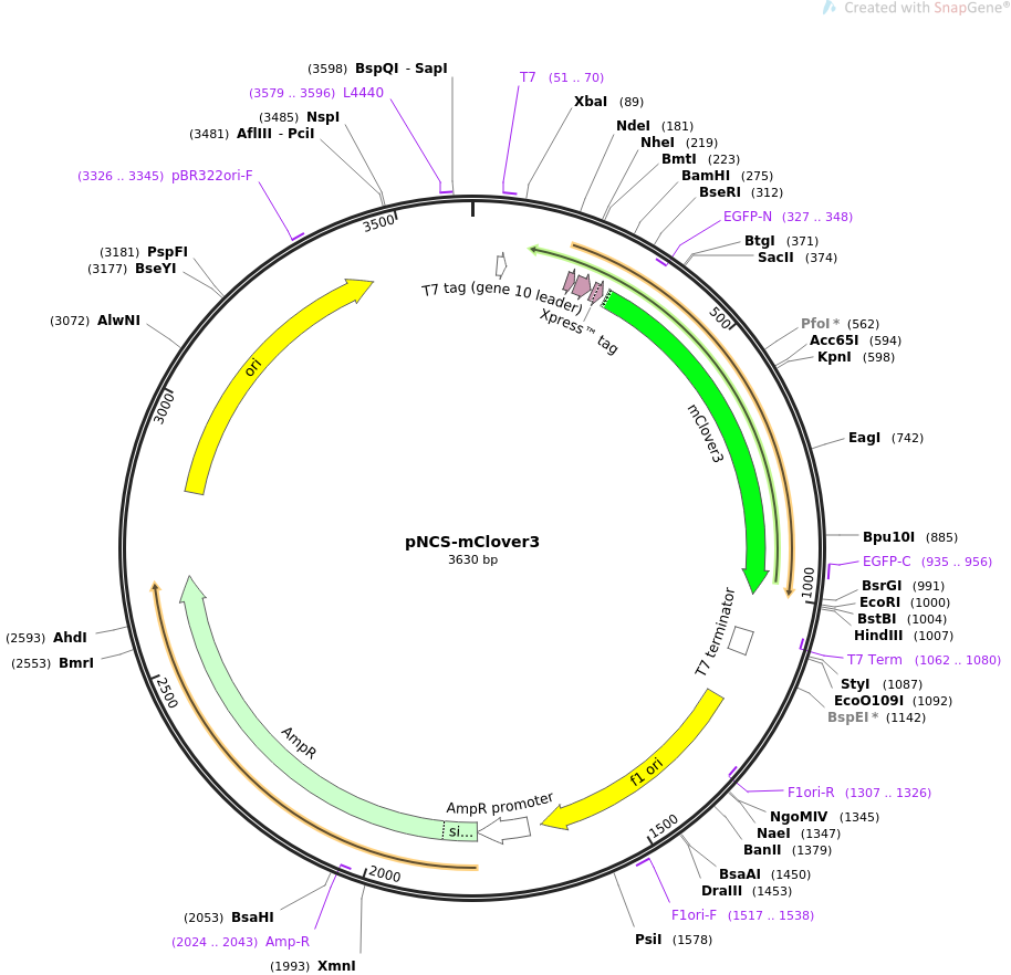 Solved Edit Question Use The Photos Of Plasmid A And B To | Chegg.com