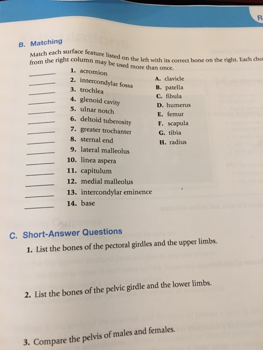 Solved B. Matching Each Surface Feature Listed On The Left | Chegg.com