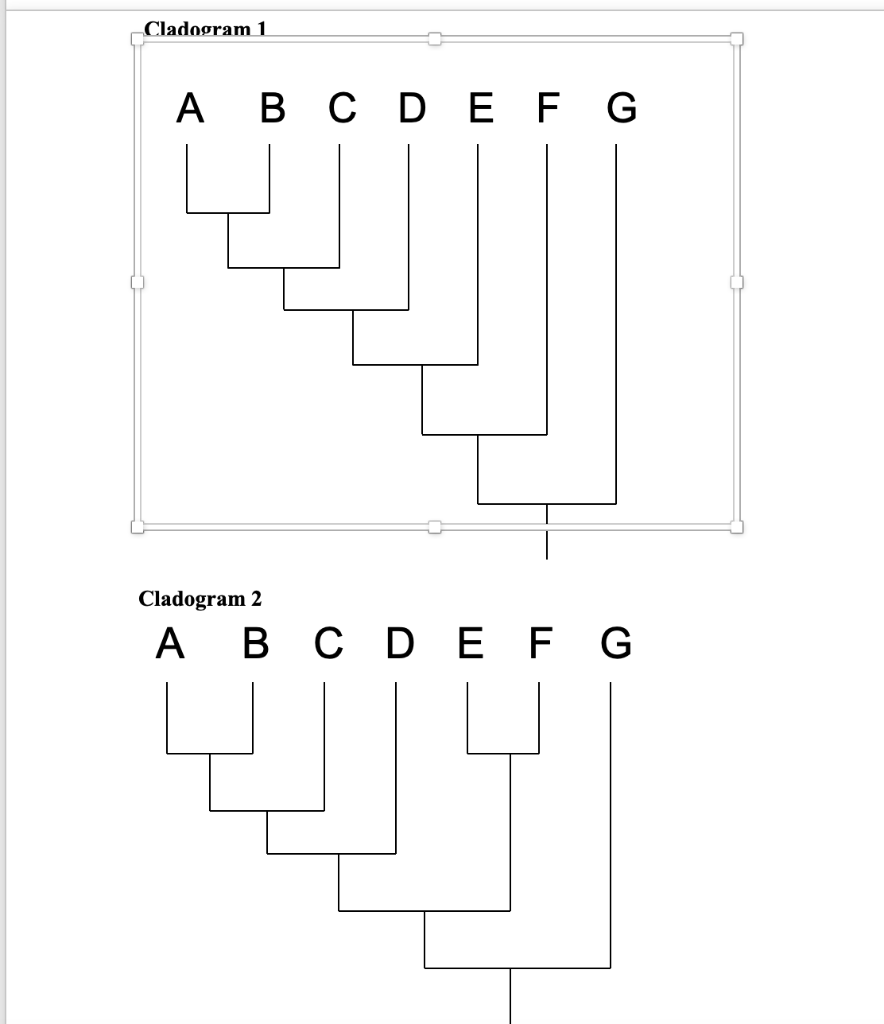 Solved Map the derived characters for the 7 imaginary | Chegg.com