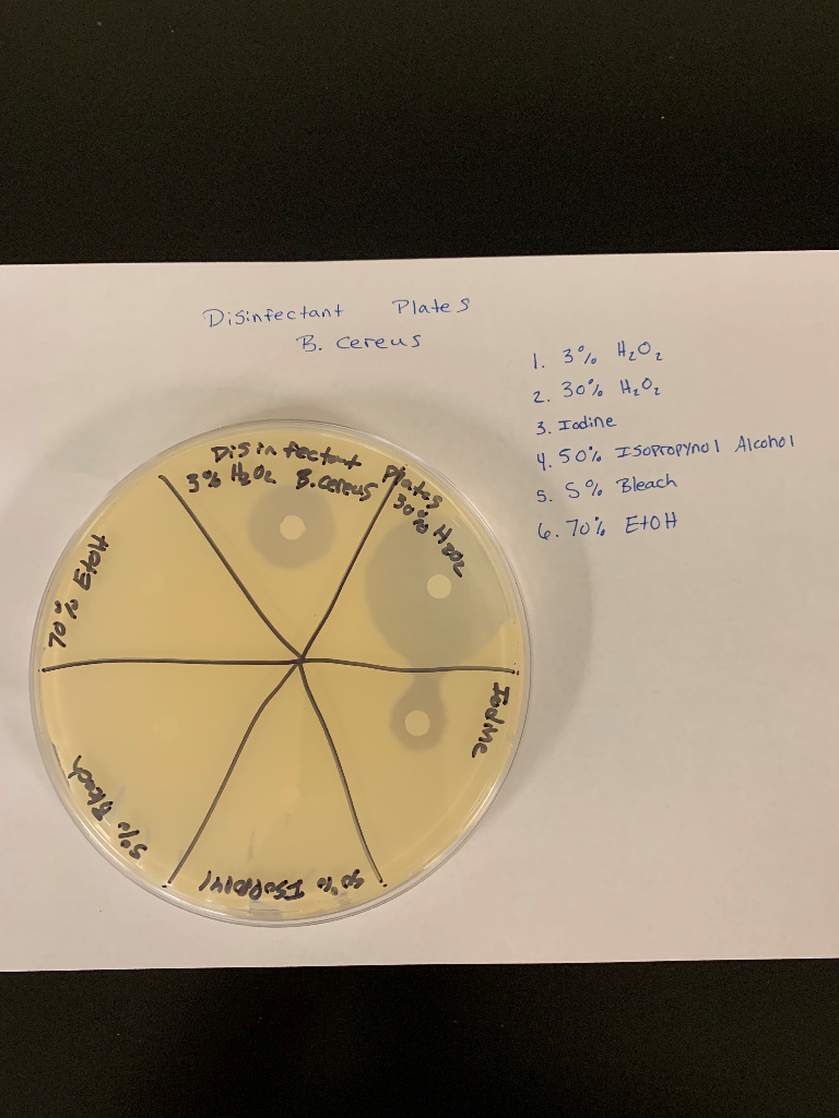 EXPERIMENT Chemical Agents of Control Disinfectants