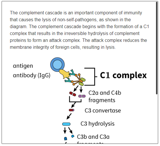 Solved The complement cascade is an important component of | Chegg.com