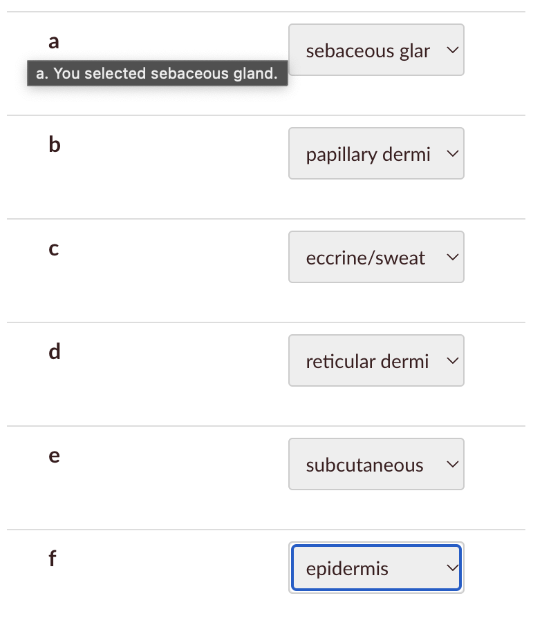 Solved Identify the structures indicated by the | Chegg.com