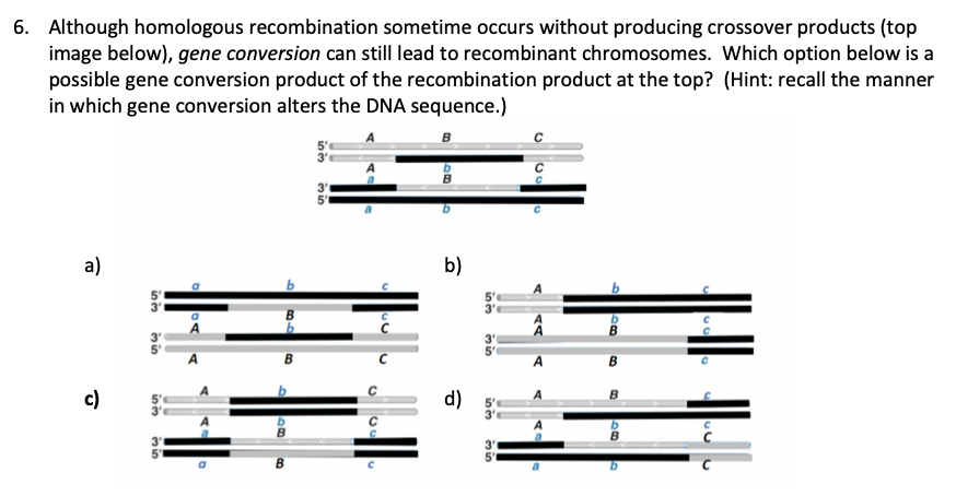 Solved Although homologous recombination sometime occurs | Chegg.com
