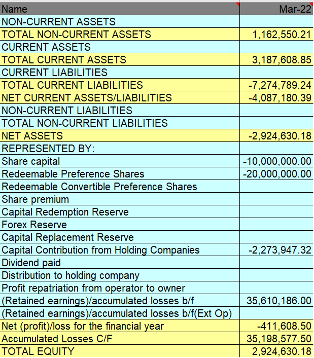 Analyse the company's financial performance.