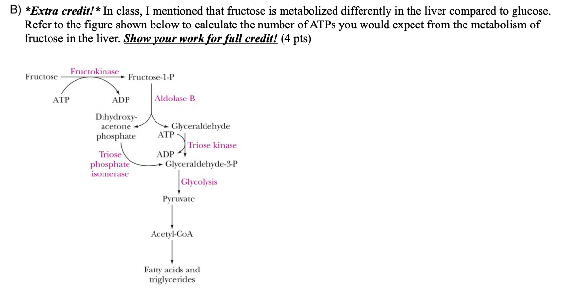 Solved A Determine The Number Of Atps Generated From