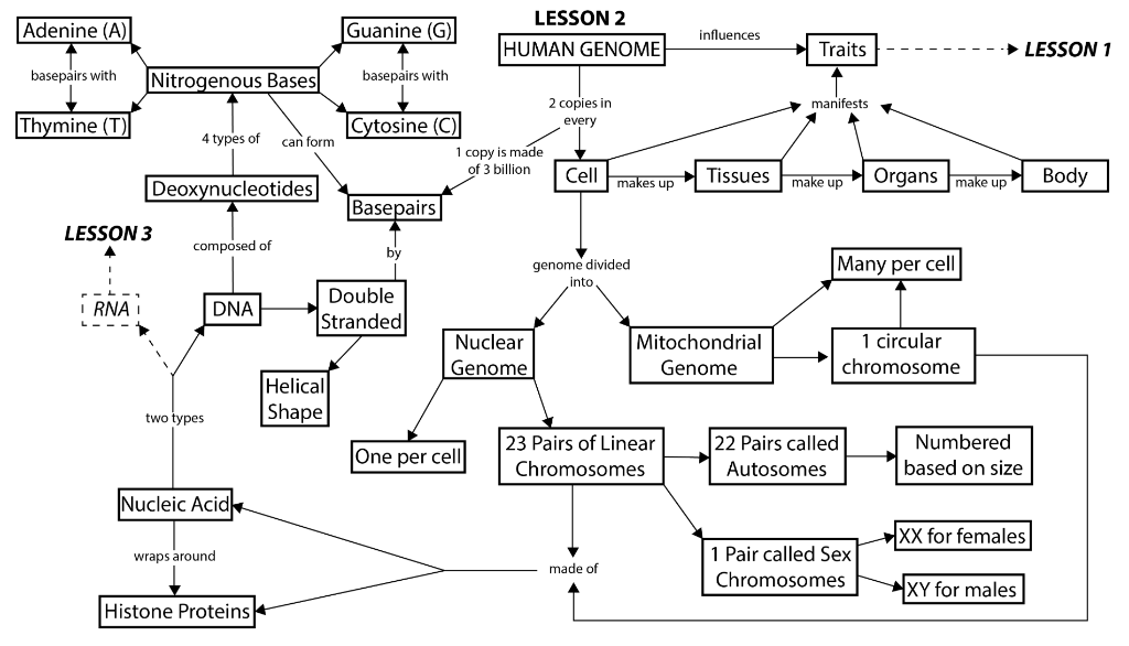 Solved Draw a model or concept map linking at least these | Chegg.com