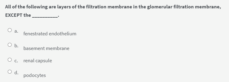 Solved All Of The Following Are Layers Of The Filtration Chegg