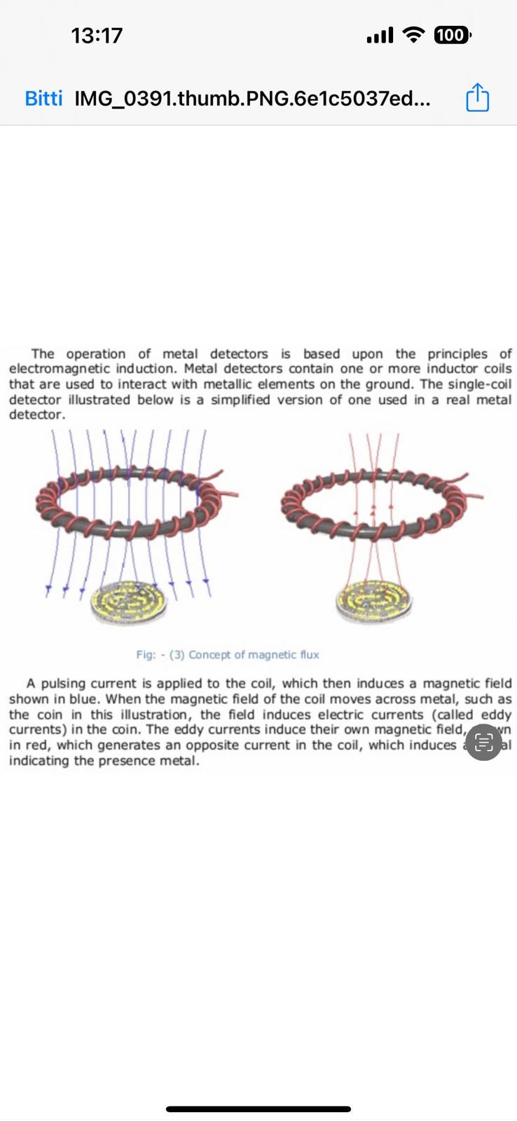 How Do Metal Detectors Work? The Science of Magnetism and Metal