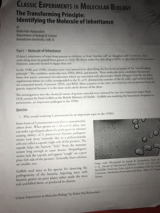 Solved CLASSIC EXPERIMENTS IN MOLECULAR BIOLOGY The