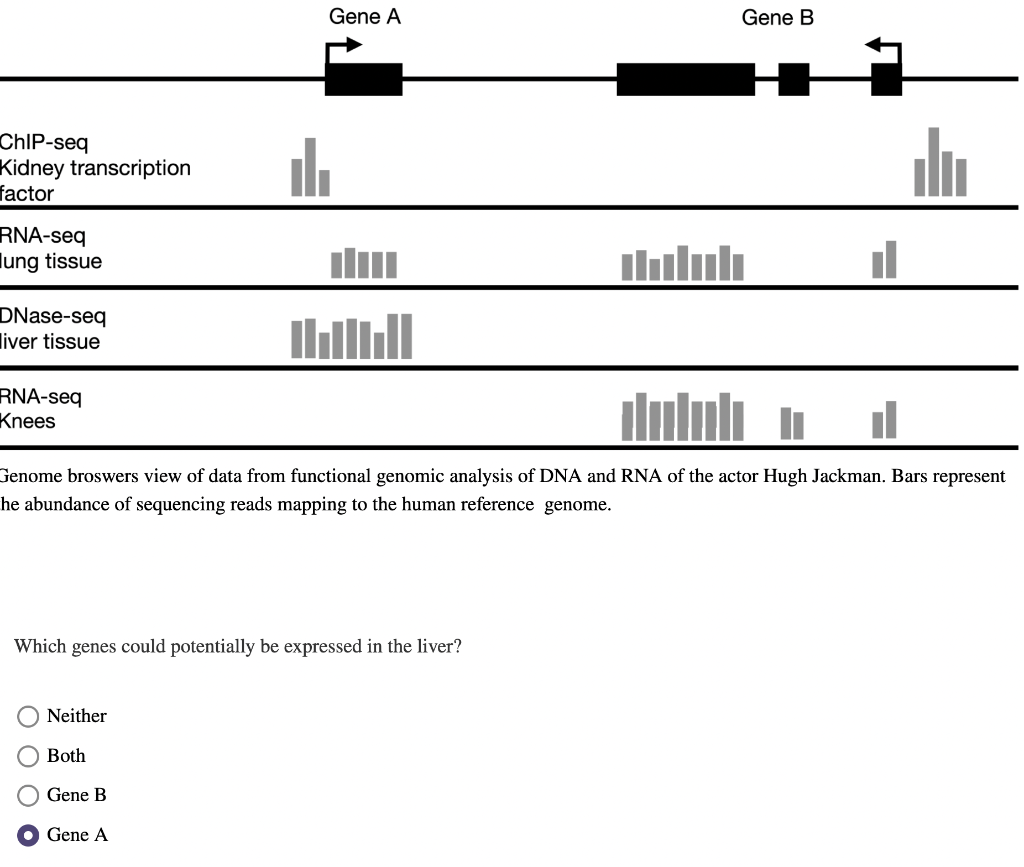 Solved Genome Broswers View Of Data From Functional Genomic | Chegg.com