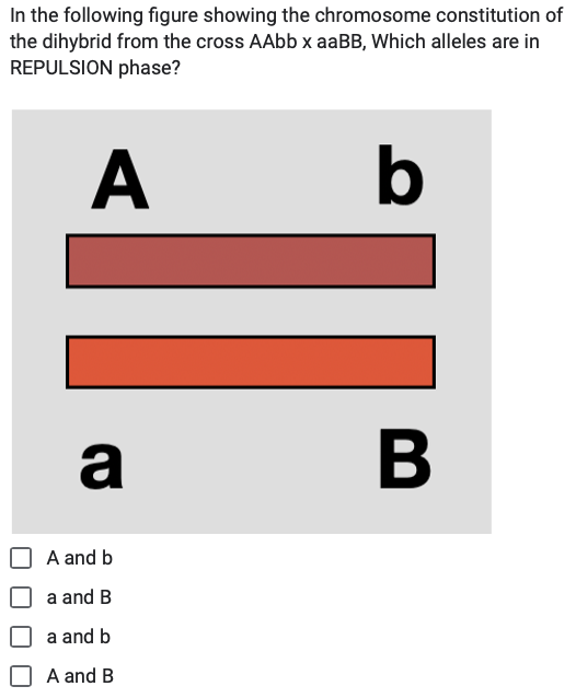 Solved A B B | Chegg.com