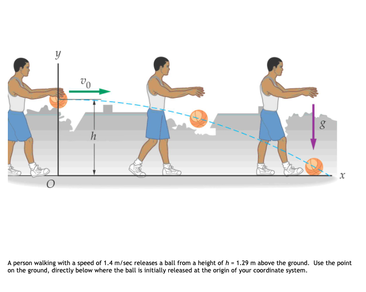 Solved A person walking with a speed of 1.4 m/sec releases a | Chegg.com