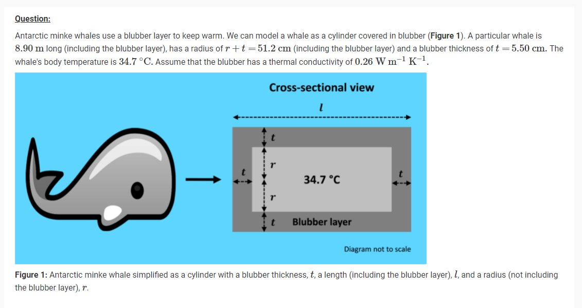 Solved Antarctic minke whales use a blubber layer to keep