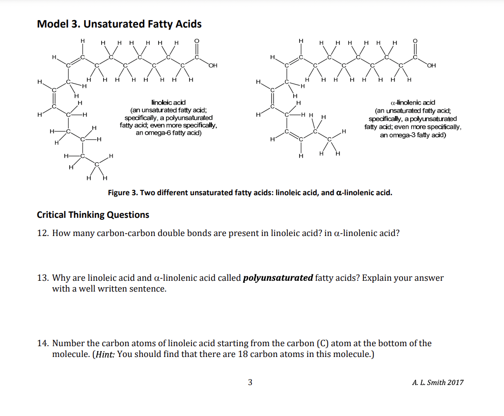 Solved Model 3. Unsaturated Fatty Acids Figure 3. Two