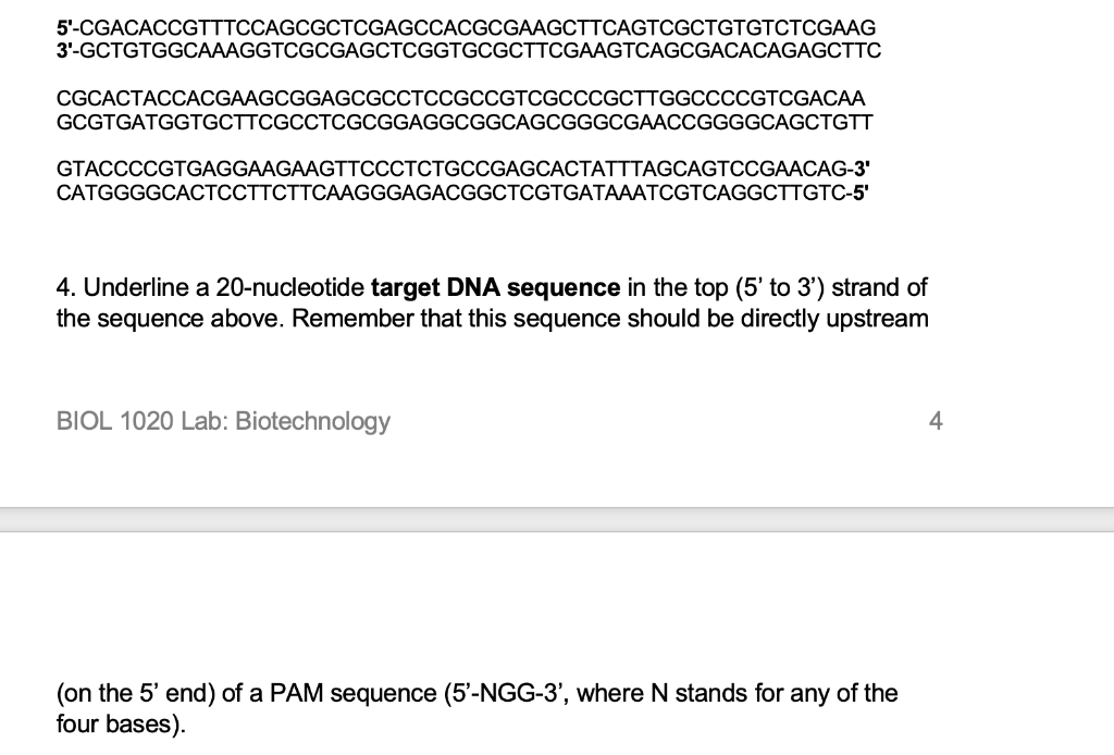 Solved 5. Highlight the PAM sequence that is next to your | Chegg.com