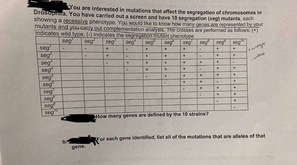 Solved You are interested in mutations that affect the | Chegg.com