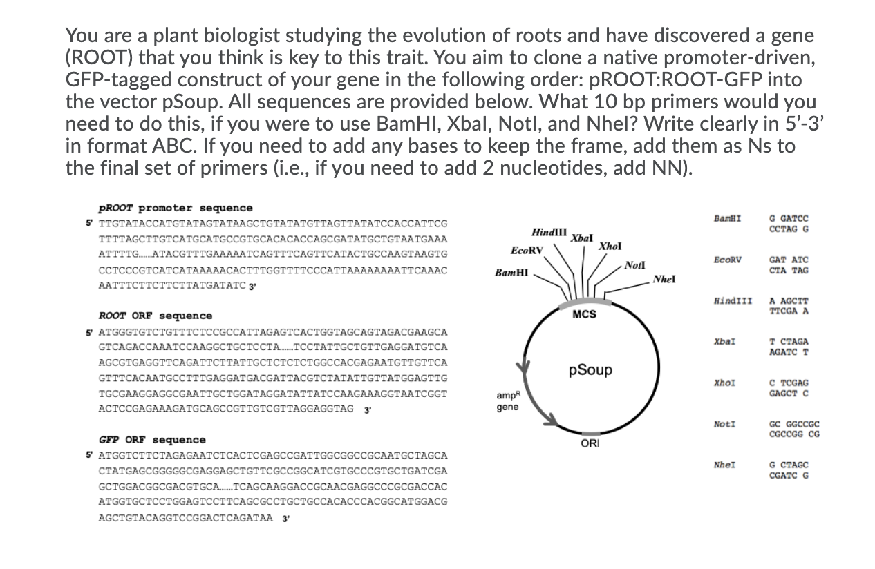 You are a plant biologist studying the evolution of | Chegg.com