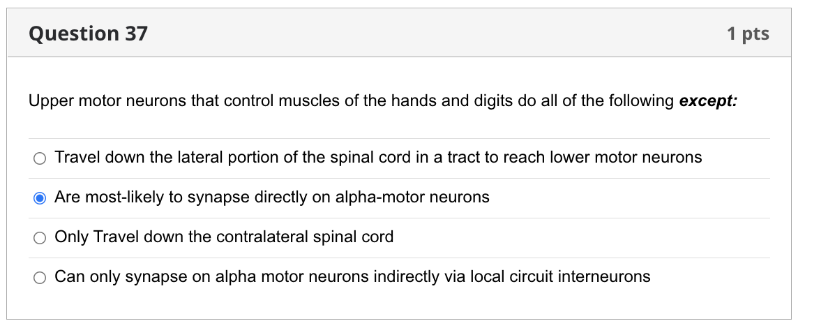 Solved Question 37 1 pts Upper motor neurons that control | Chegg.com