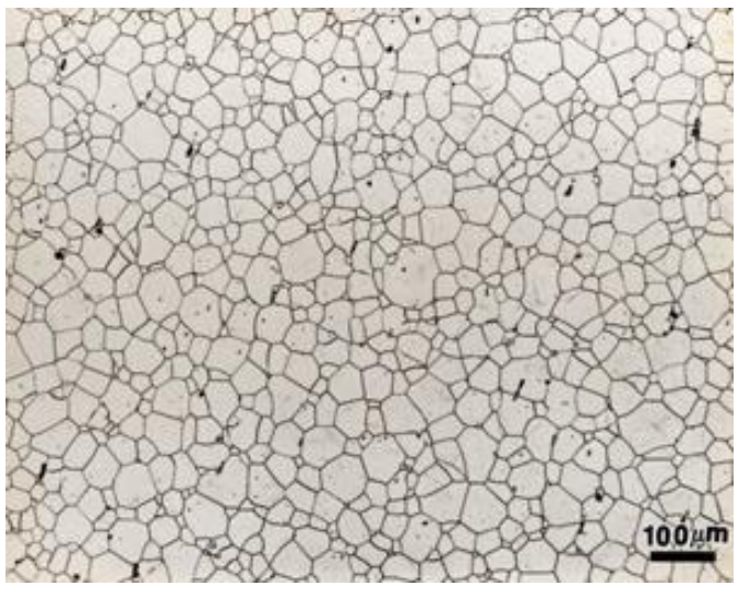 Solved Using the following 100x micrograph, determine the | Chegg.com