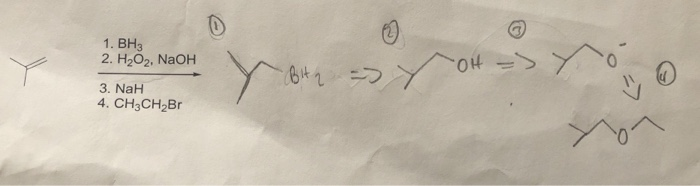 Solved 1. BH3 2. H2O2, NaOH S HO 3, NaH 4. CH3CH2Br | Chegg.com