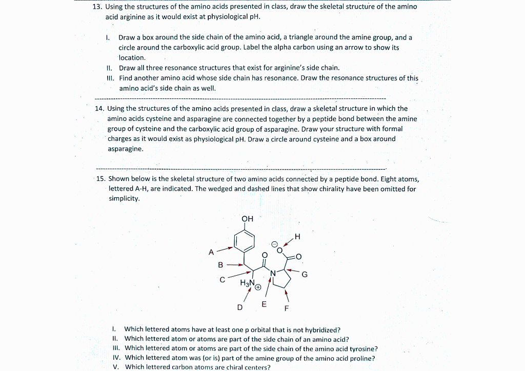Solved 13. Using the structures of the amino acids presented | Chegg.com
