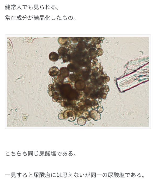 2 5分 Flashcards Chegg Com