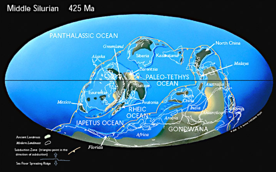 Solved . Ces Late Cambrian 514 Ma PANTHALASSIC OCEAN Alaska | Chegg.com