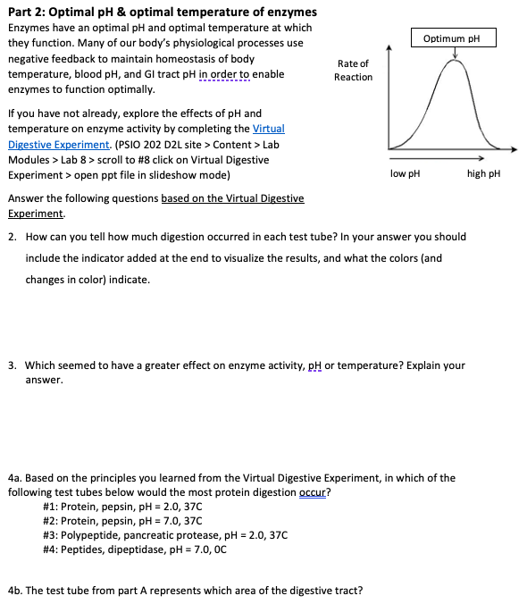 part-2-optimal-ph-optimal-temperature-of-enzymes-chegg