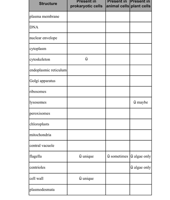 Solved on a separate copy of Table 3.4 put a check mark in | Chegg.com