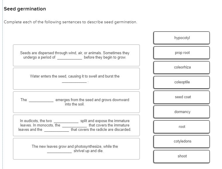 Solved Seed Germination Complete Each Of The Following Se...