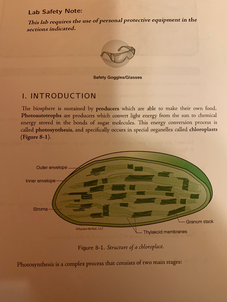 Photosynthesis 6 CO2 + 6 H20+ Energy→ C,H1206 + 6