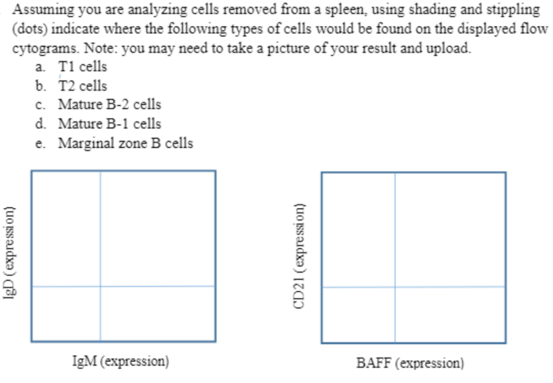 Assuming you are analyzing cells removed from a spleen, using shading and stippling (dots) indicate where the following types