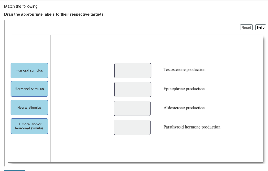 Solved Match the following Drag the appropriate labels to | Chegg.com
