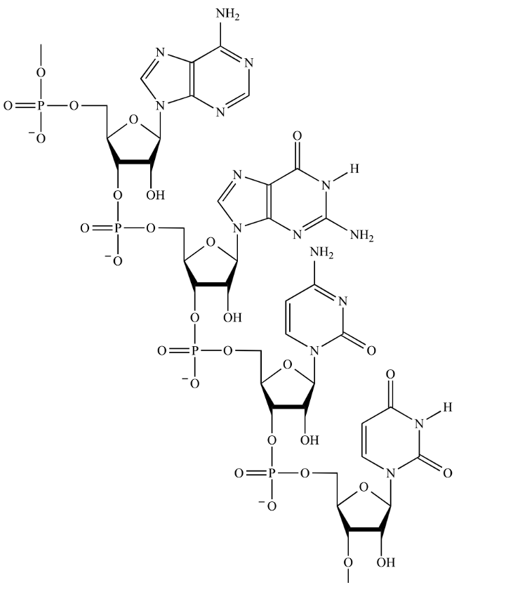 Solved is this the biopolymer of DNA? i think it is a | Chegg.com