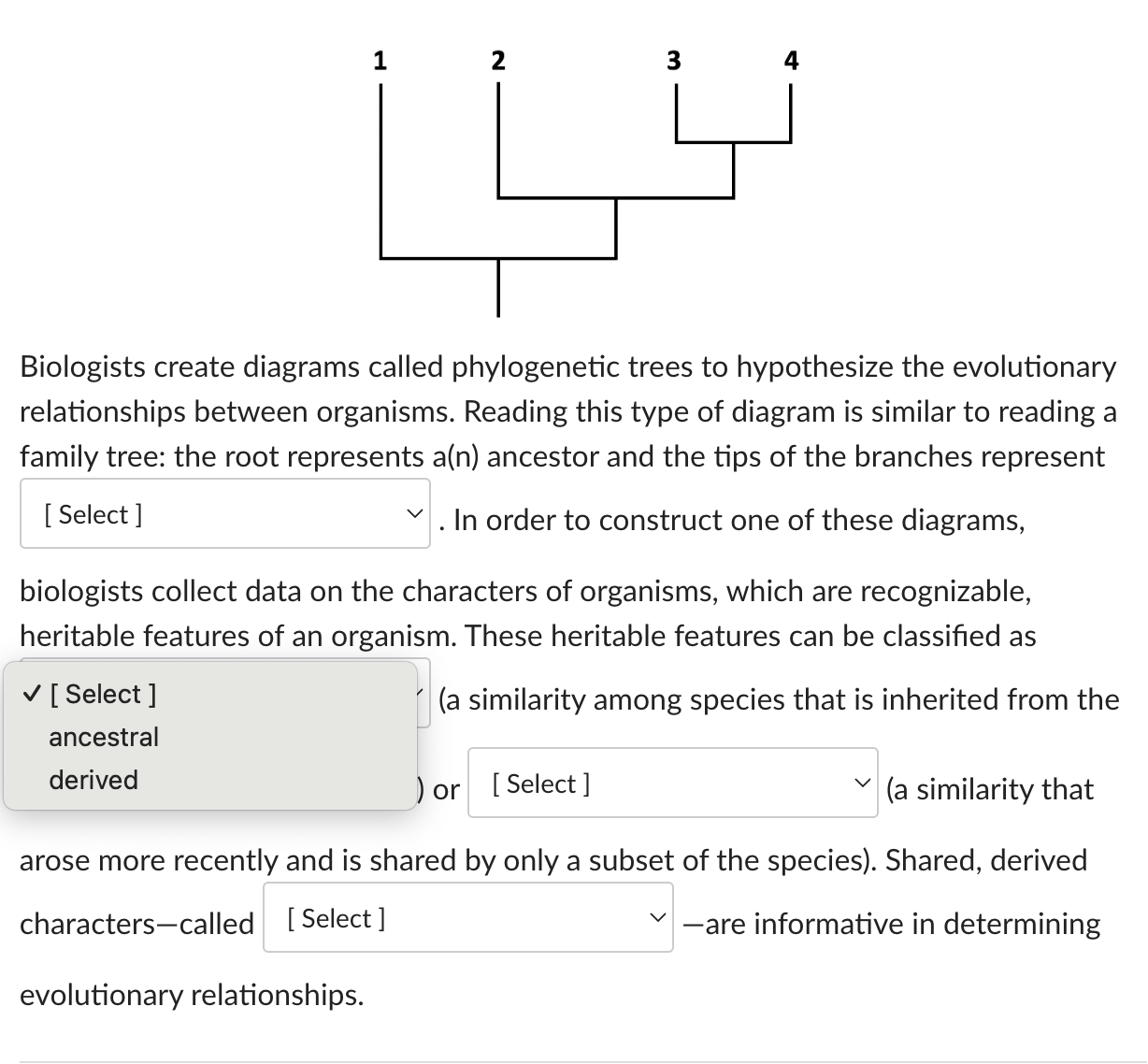 Solved Biologists Create Diagrams Called Phylogenetic Trees | Chegg.com