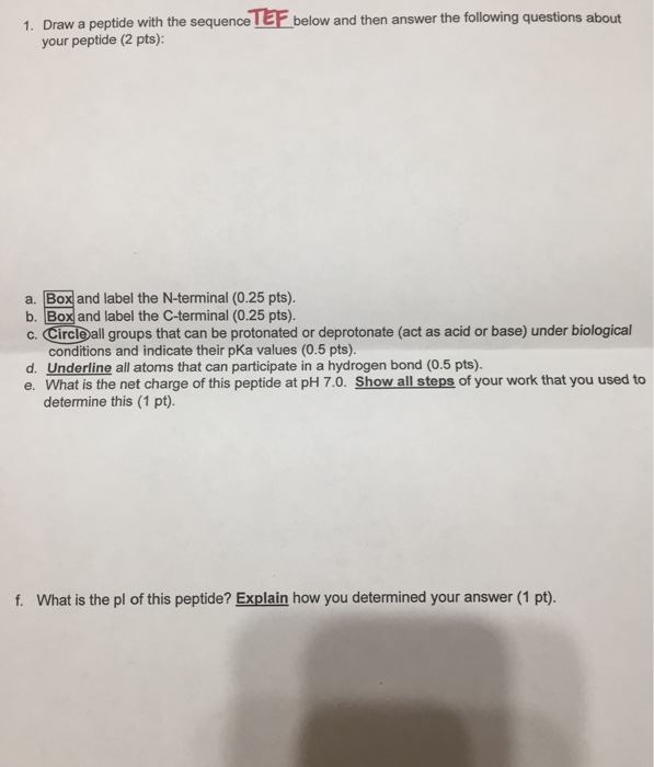 Solved Draw a peptide with the sequence _____ below and then | Chegg.com